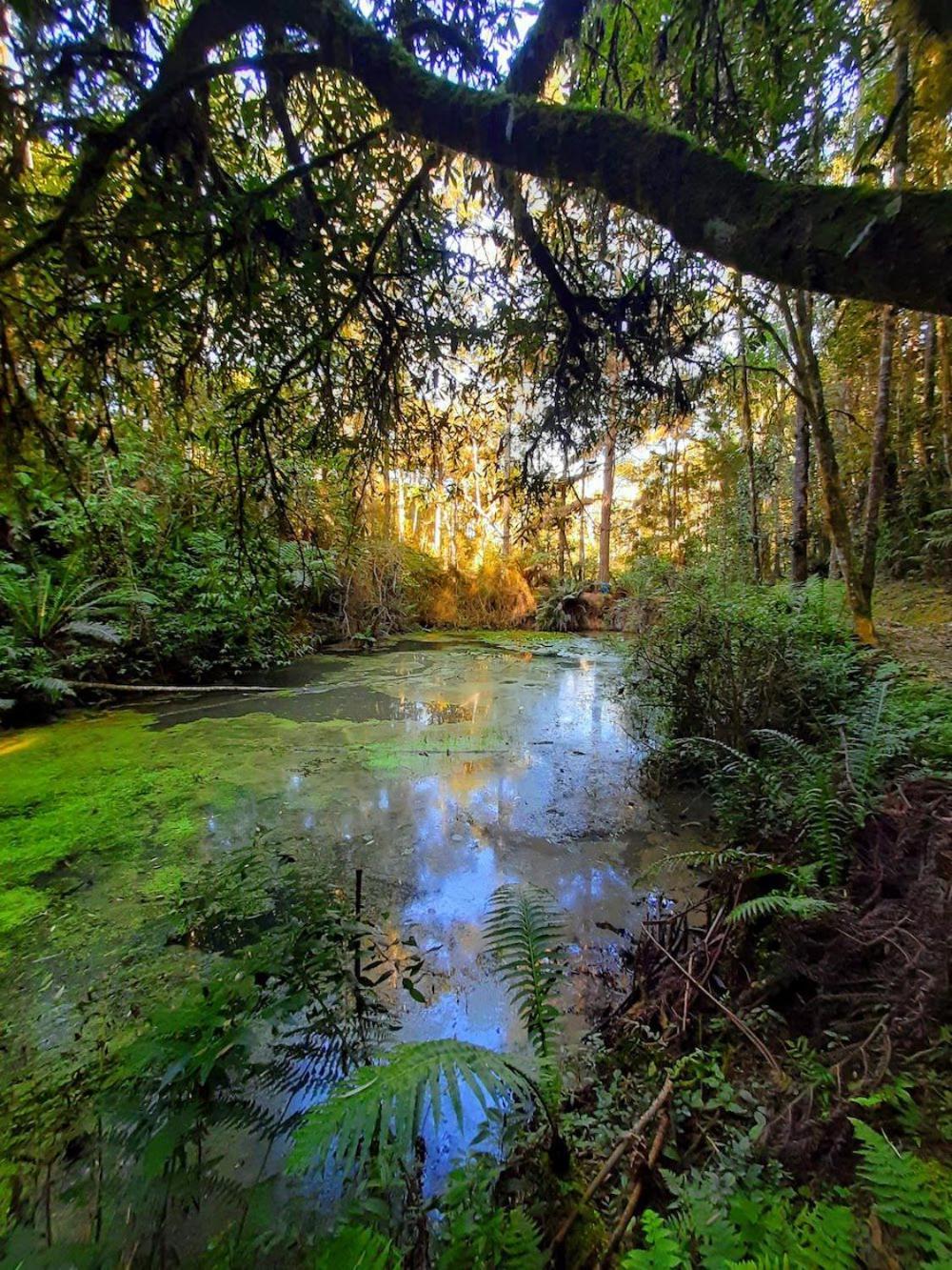 Recanto Paraiso Aventuras Rio Negrinho Extérieur photo
